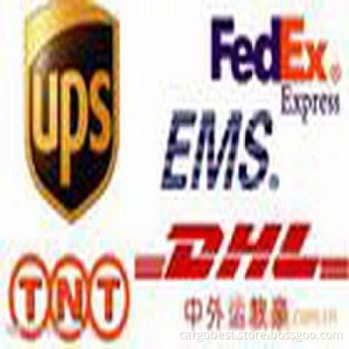 DHL/TNT/UPS from shenzhen,China